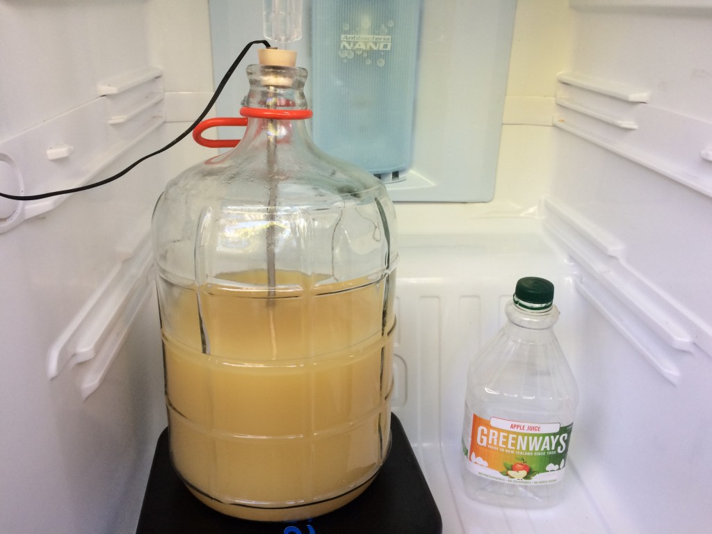 New World Cider Fermenting