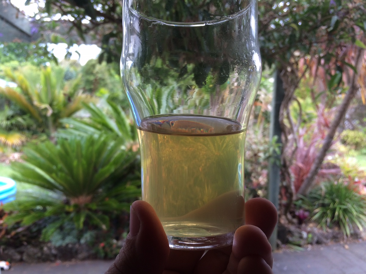 slightely cloudy cider