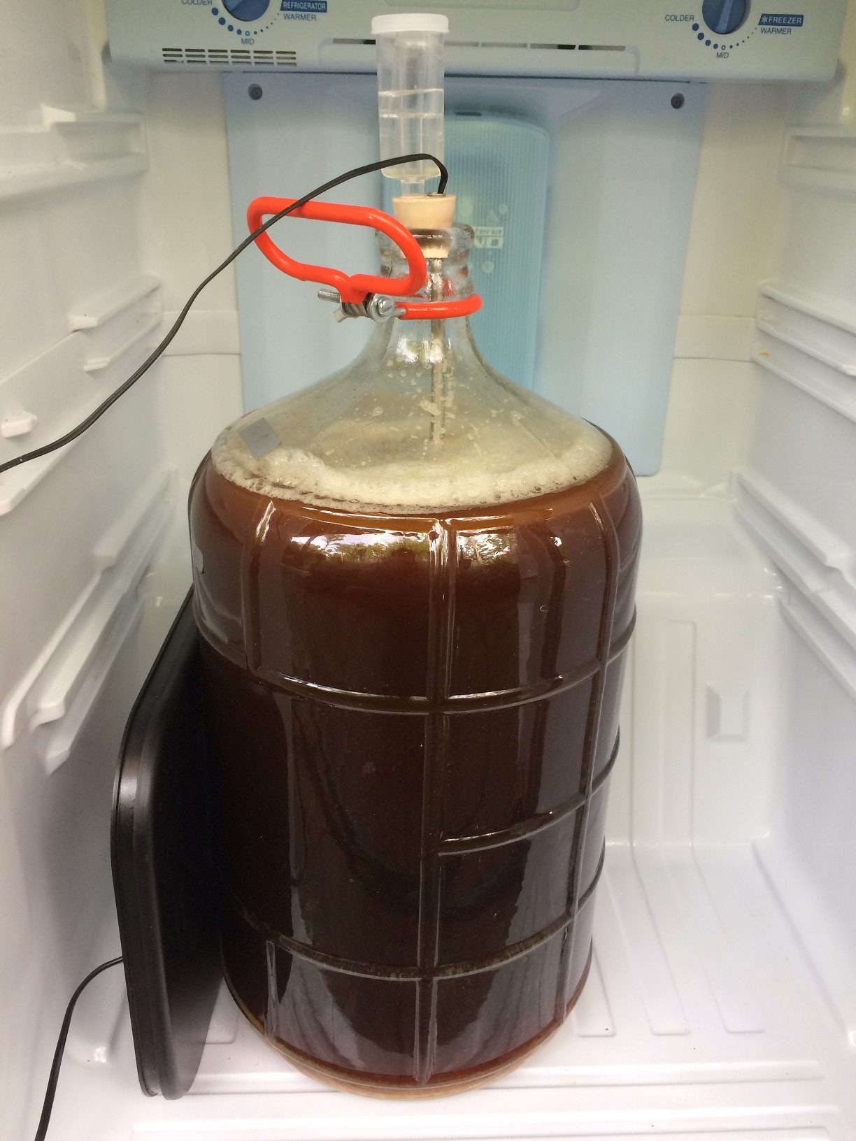 American Amber Ale in Carboy