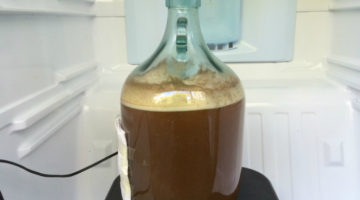 Belgian Pale Ale Fermenting