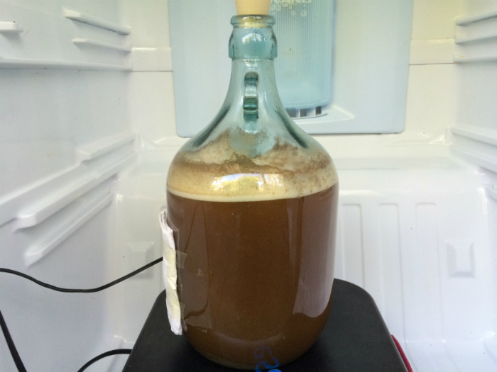 Belgian Pale Ale Fermenting