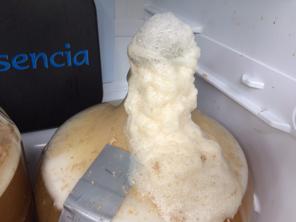 beer coming out of airlock