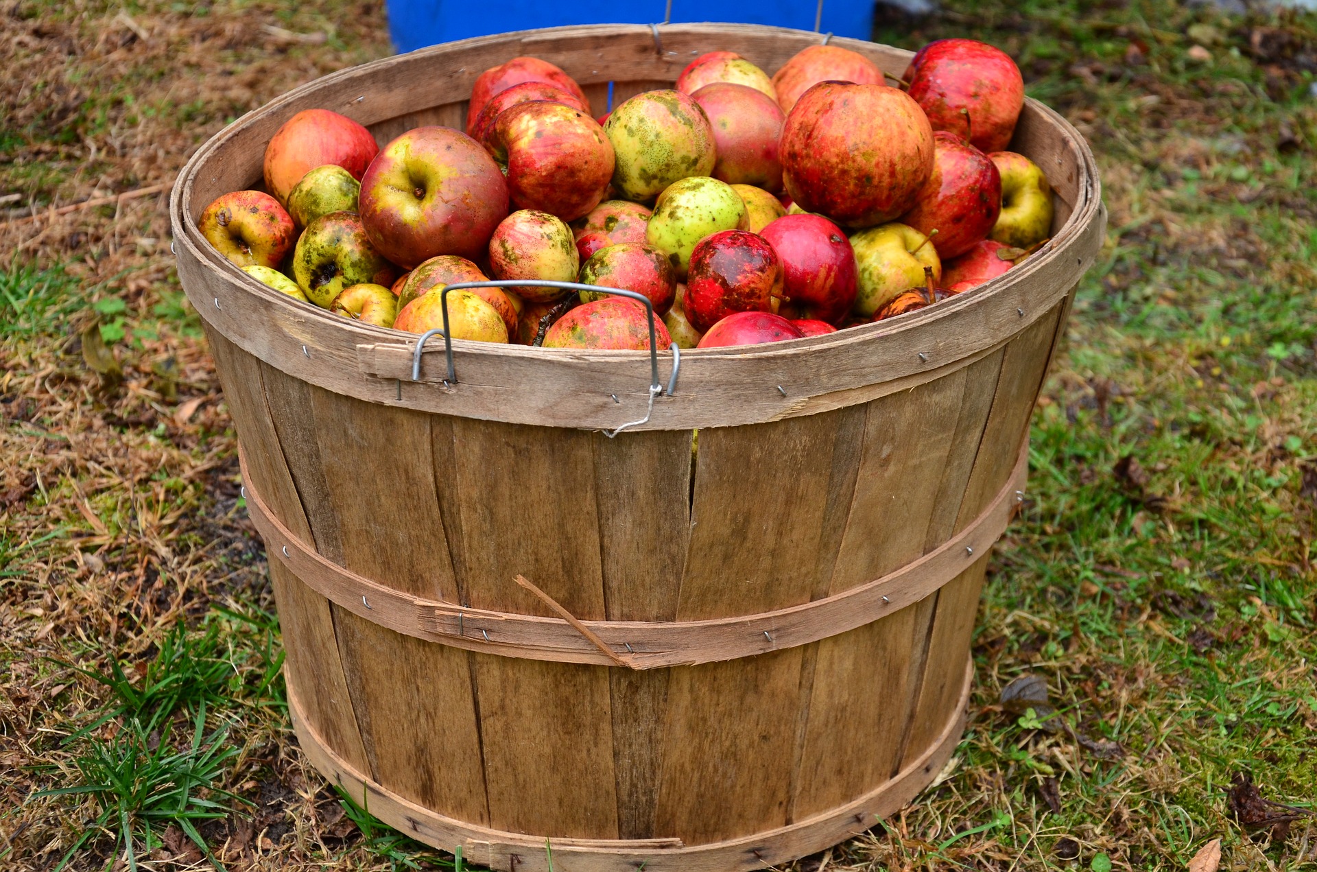 New Zealand Cider