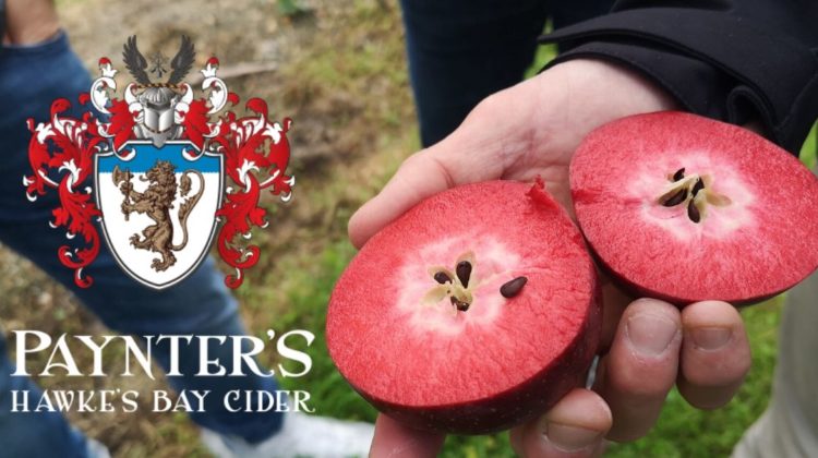 Paynter's Cider