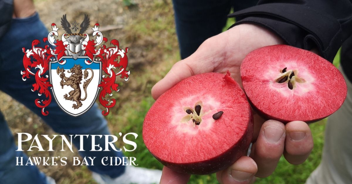 Paynter's Cider